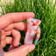 Small image 6