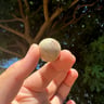 Small image 2