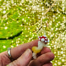 Small image 3