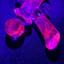 Small image 7