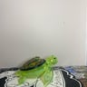 Small image 0