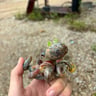 Small image 2