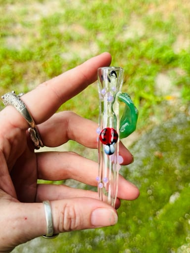 Preview pic of Ladybug with leaf chillum