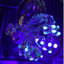 Small image 7