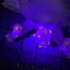 Small image 8