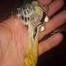 Small image 0