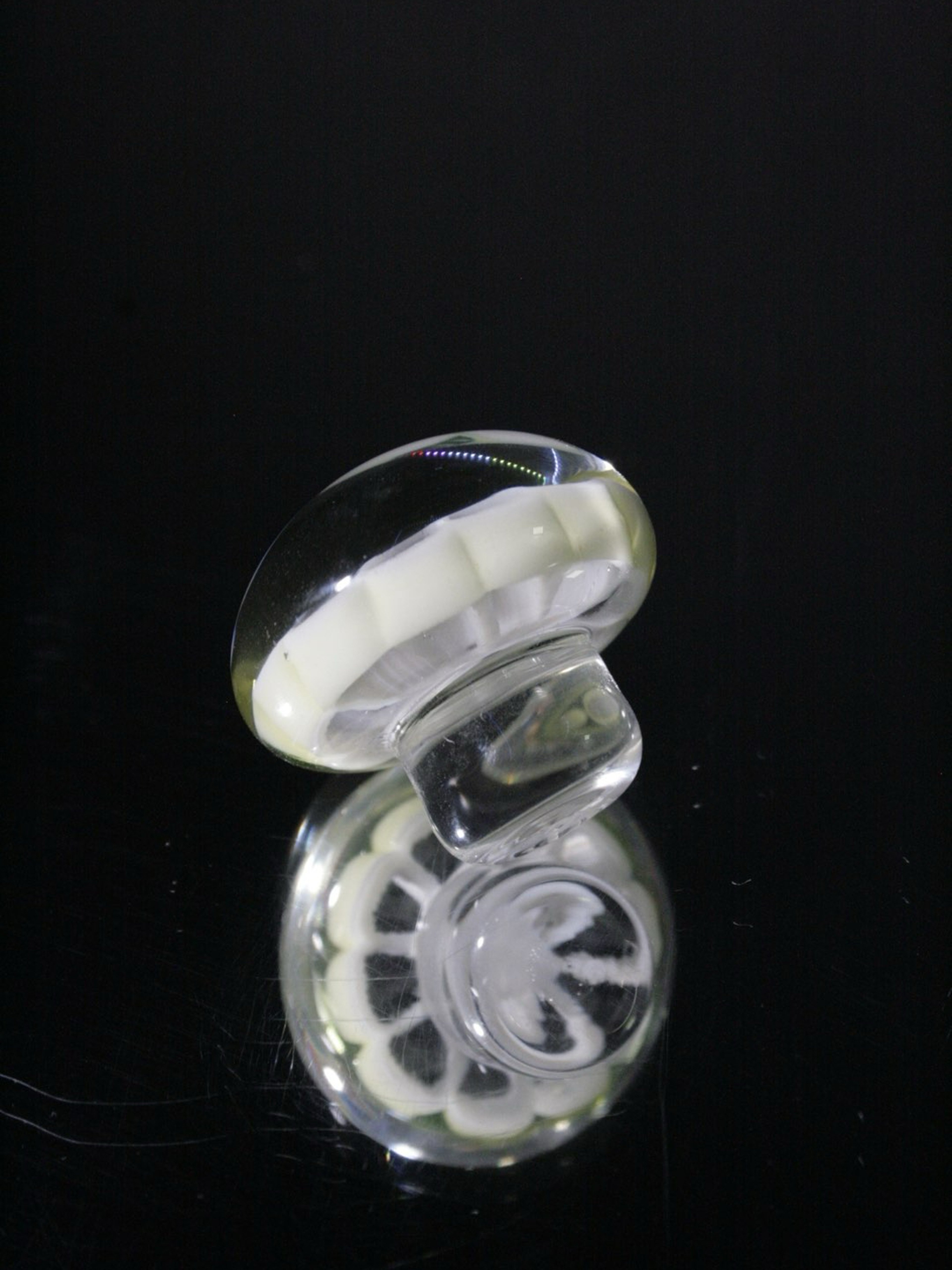 Preview pic of Lyons UV Slurper plug