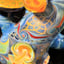 Small image 6