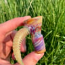Small image 4