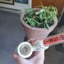Small image 6