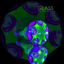 Small image 9
