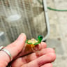 Small image 3