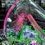 Small image 8