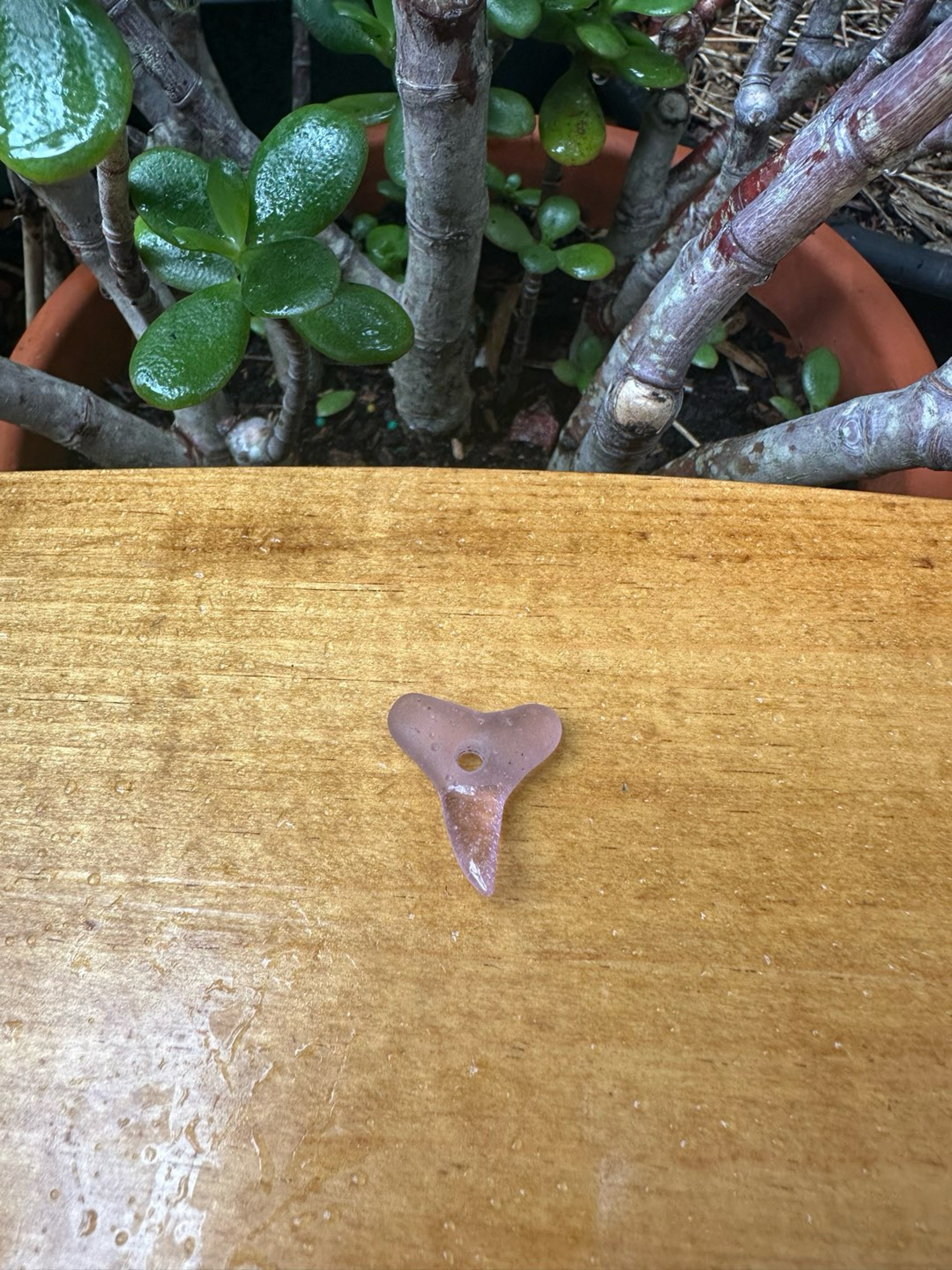 Preview pic of Mini Freestyle Glass Shark Tooth