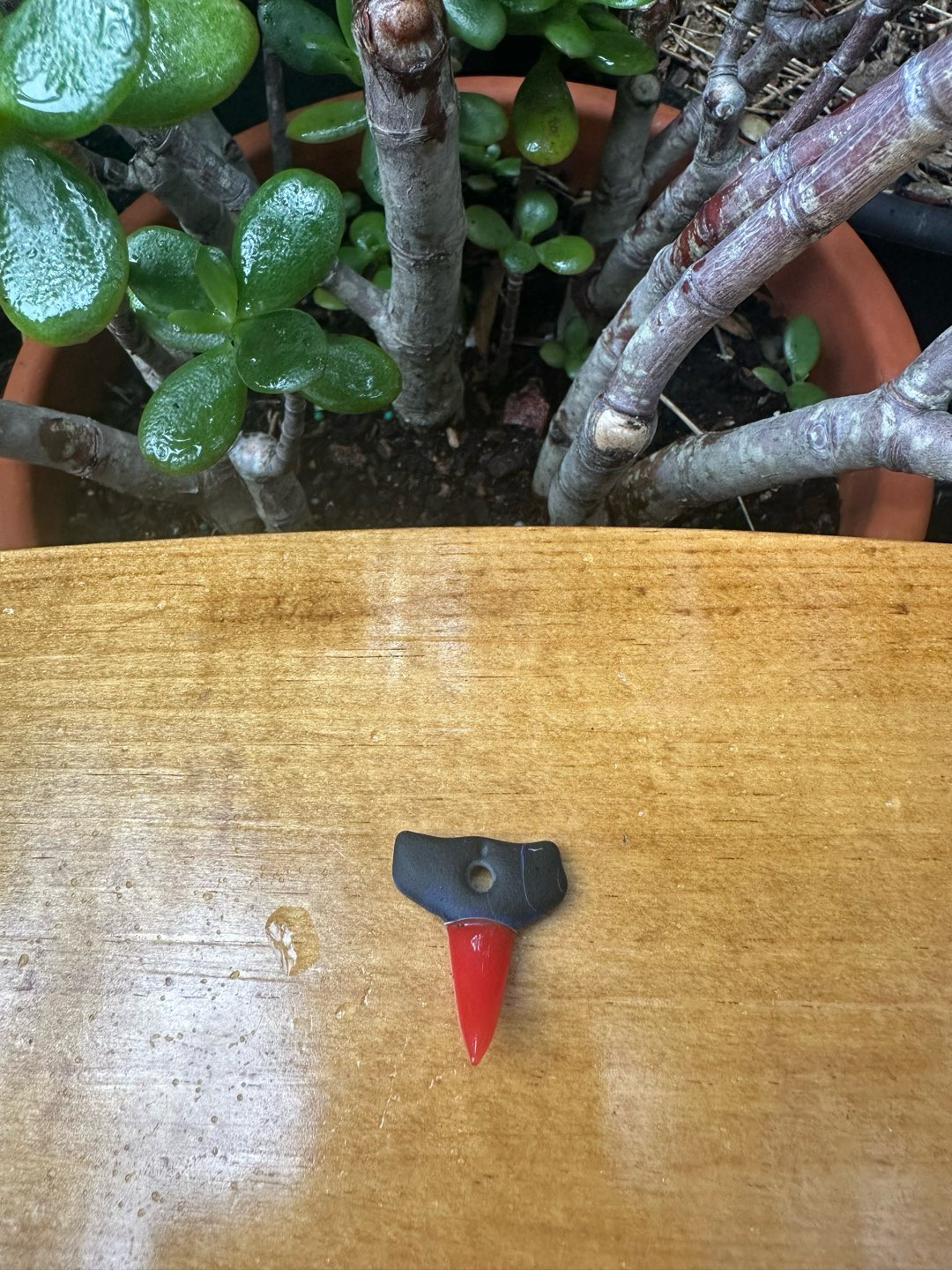 Preview pic of Mini Freestyle Glass Shark Tooth - Split Color