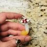 Small image 1