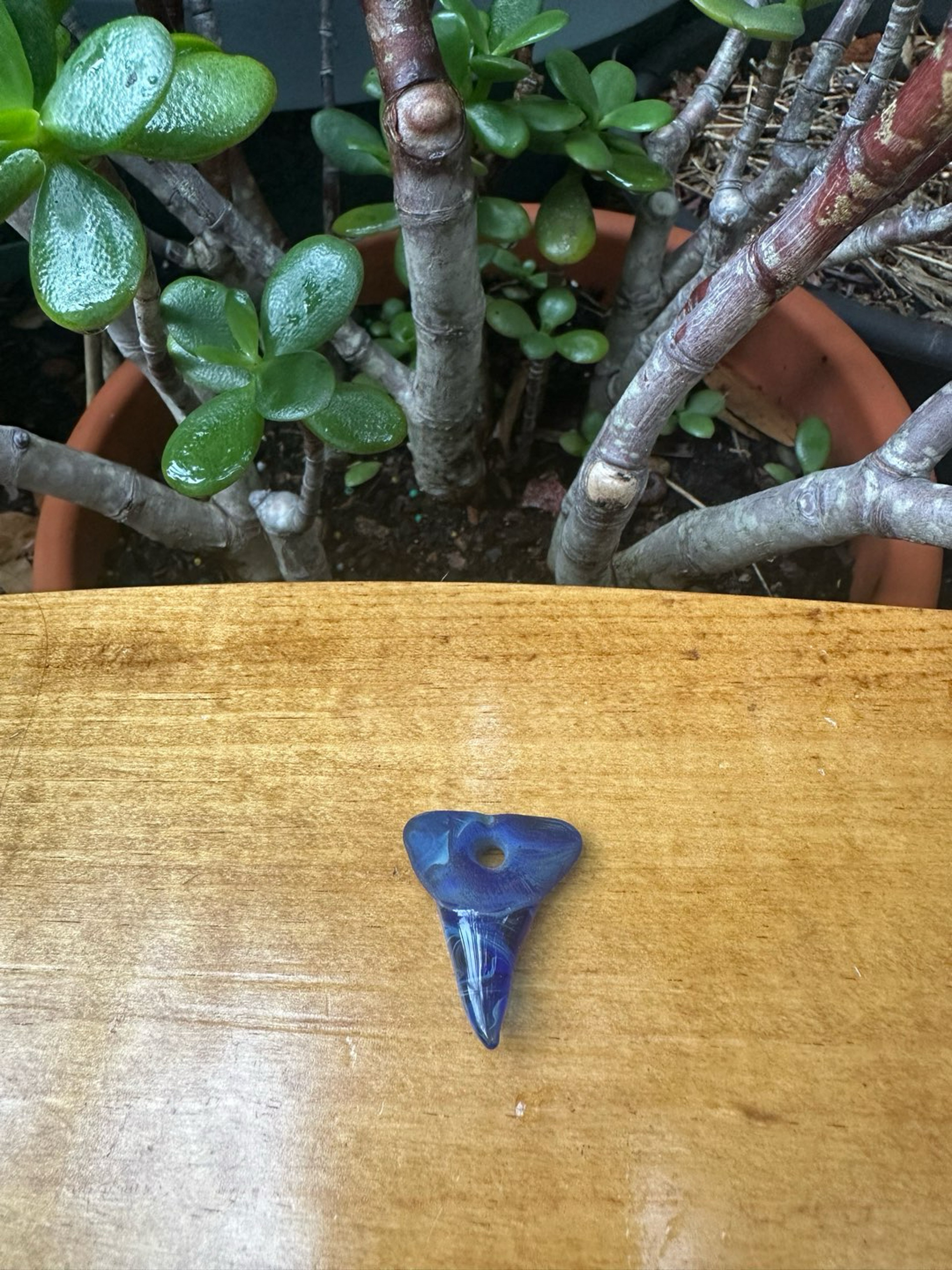 Preview pic of Small Freestyle Shark Tooth