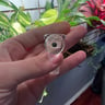 Small image 4