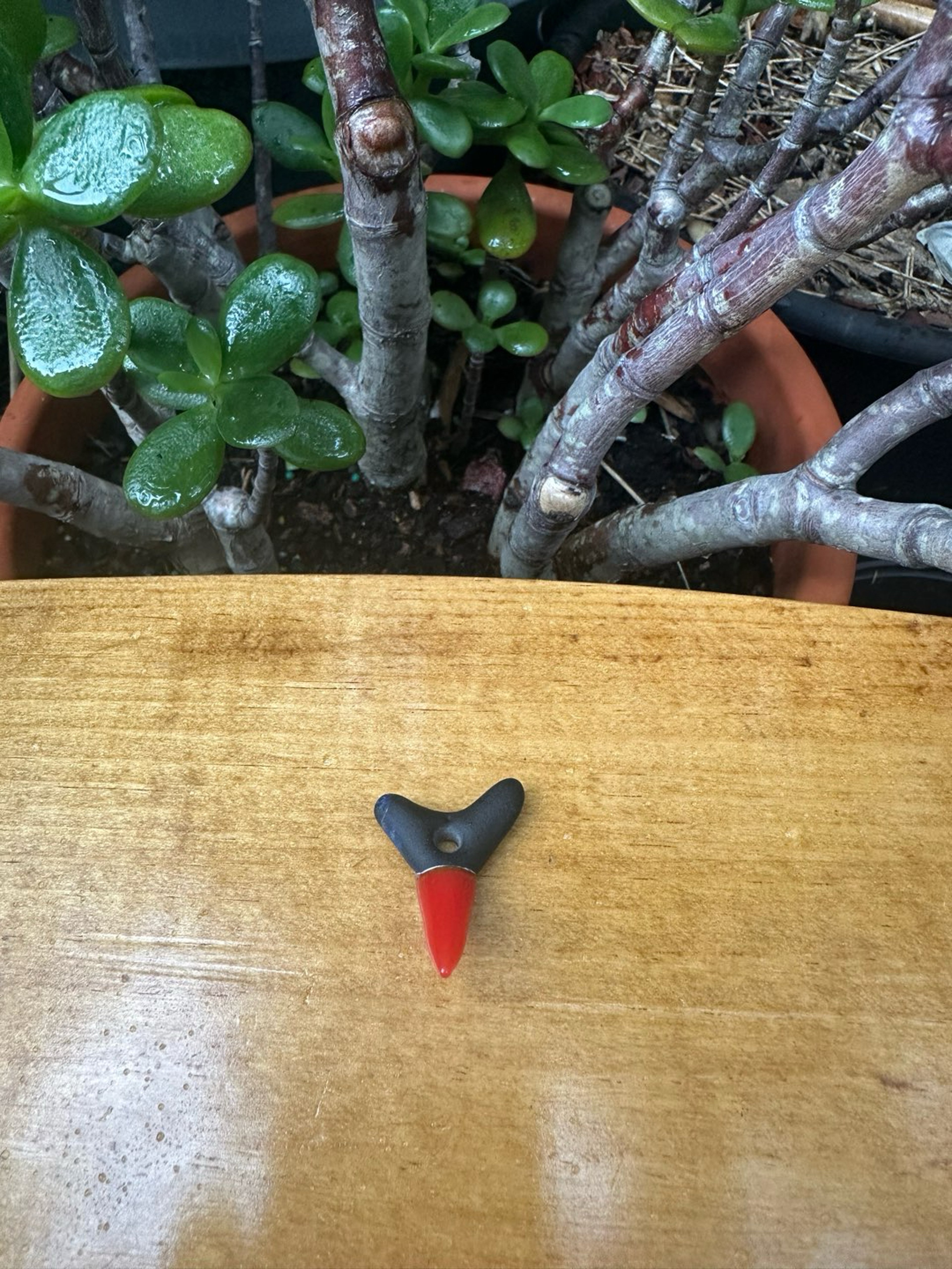 Preview pic of Small Freestyle Shark Tooth - Split Color