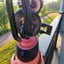 Small image 8