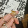 Small image 2