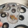 Small image 3
