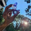 Small image 9