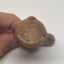 Small image 6