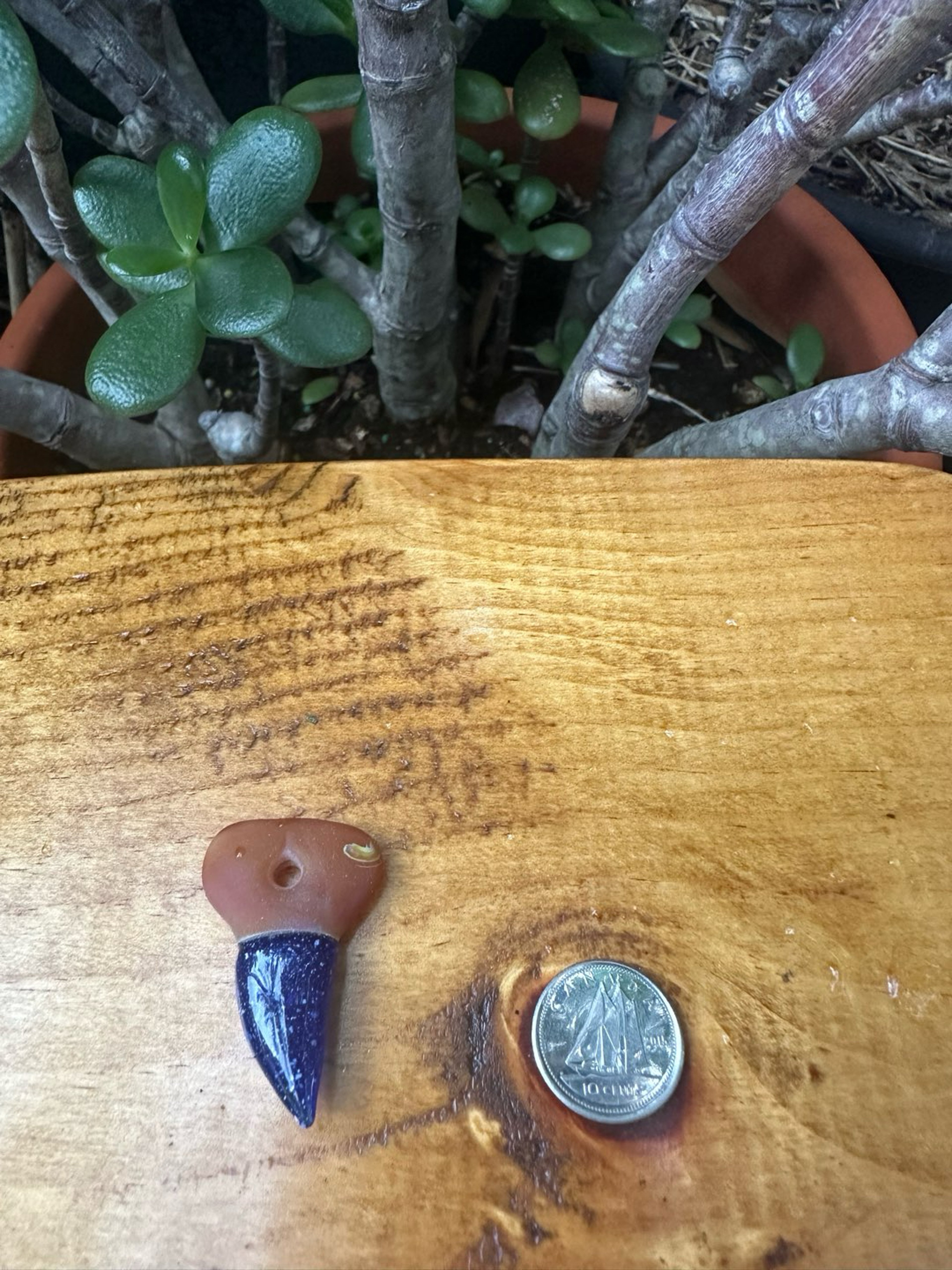 Preview pic of Small Freestyle Shark Tooth