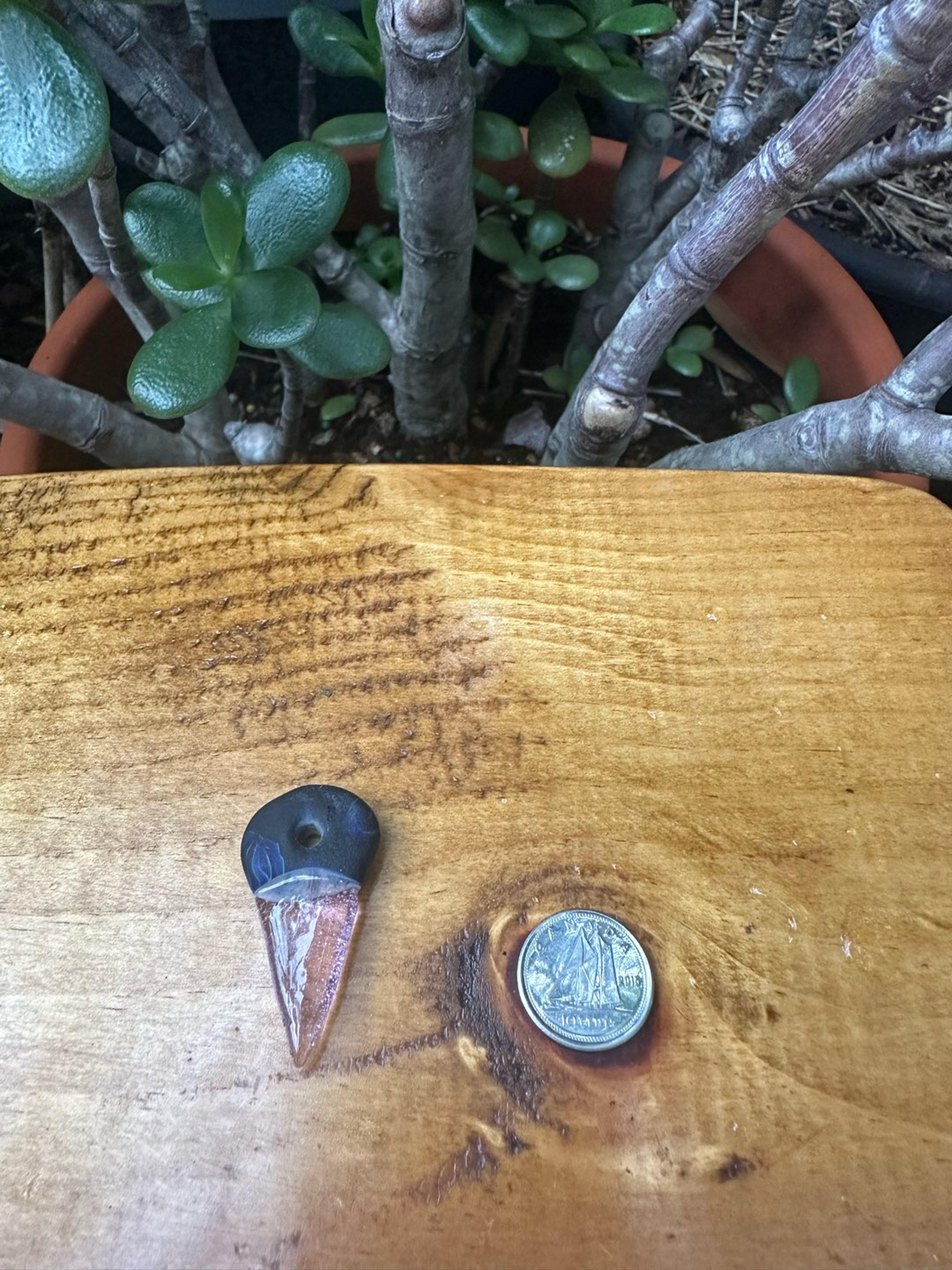 Preview pic of Small Freestyle Shark Tooth