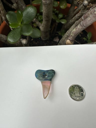 Preview pic of Moleman Collab- Small Freestyle Shark Tooth