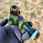 Small image 6