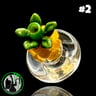Small image 5