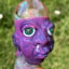 Small image 5