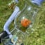 Small image 6