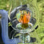 Small image 8