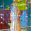 Small image 8