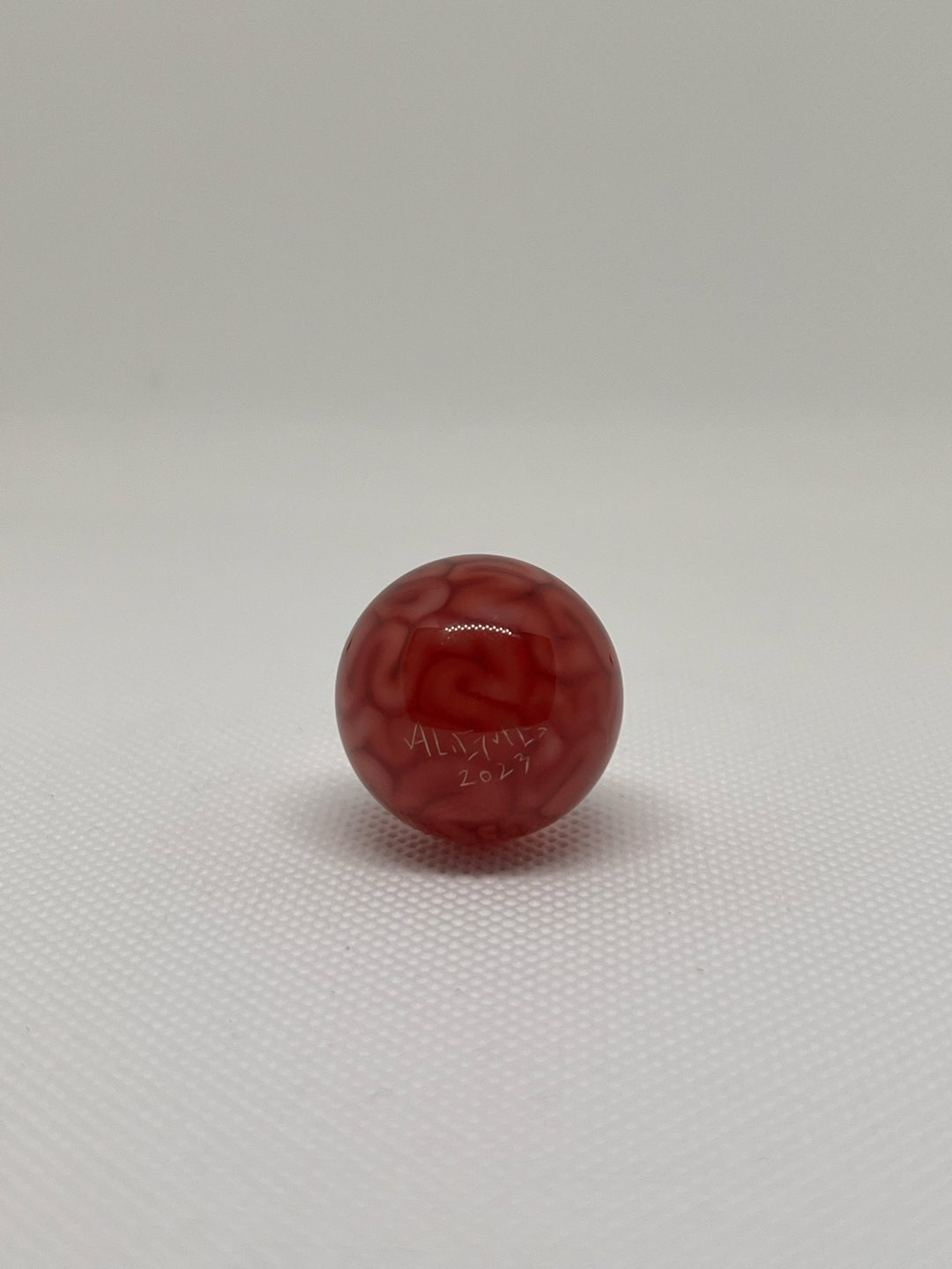 Preview pic of Algae Brain Marble