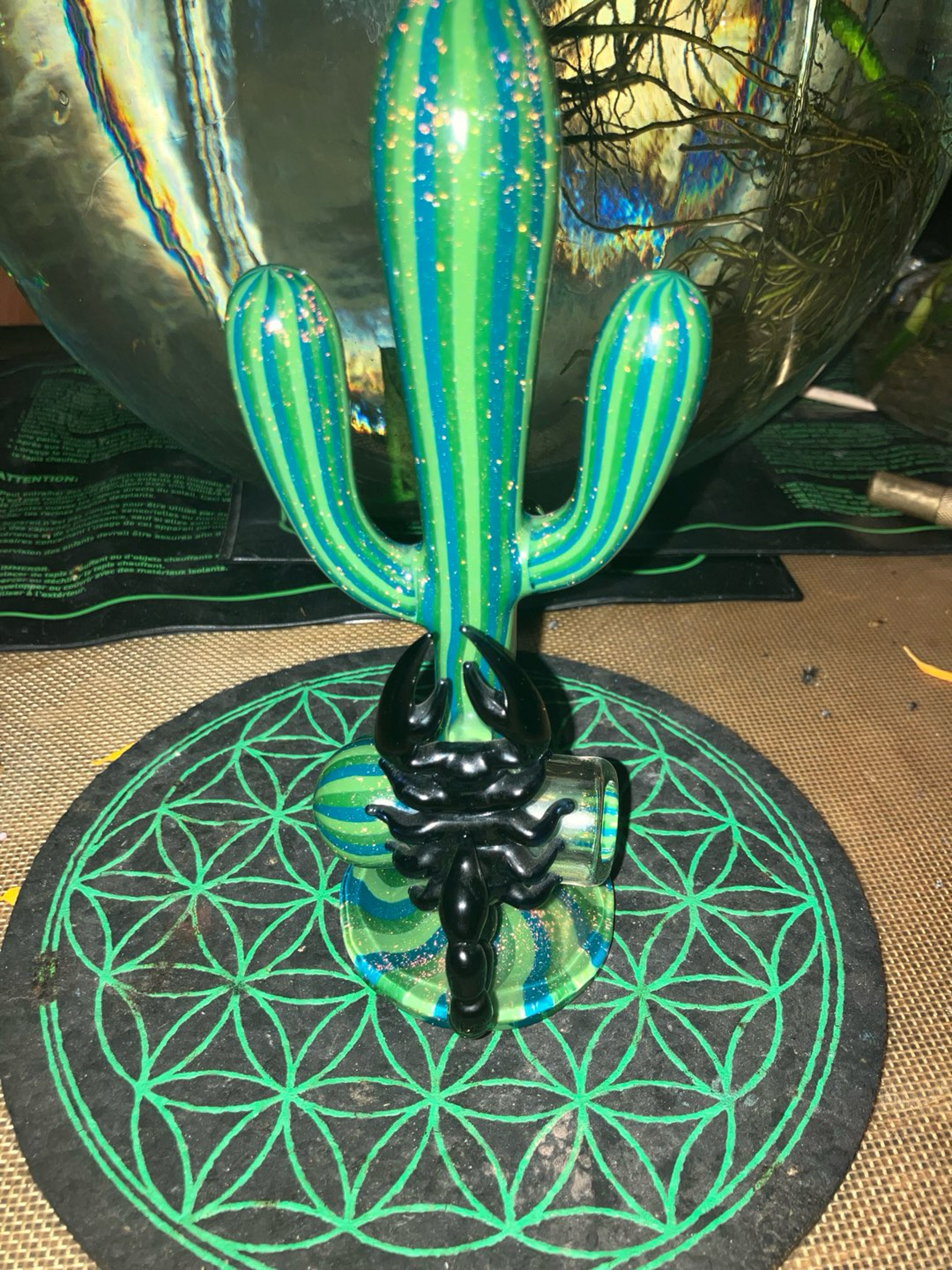 Preview pic of Cactus