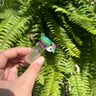 Small image 3