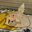 Small image 9