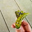 Small image 4