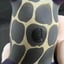 Small image 7