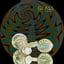 Small image 8