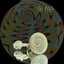 Small image 9
