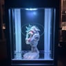 Small image 6