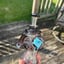 Small image 9