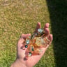 Small image 4
