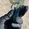 Small image 5