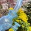 Small image 7